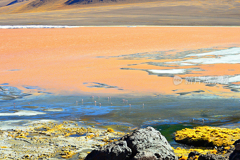 乌尤尼Salar De Uyuni玻利维亚令人惊叹的风景